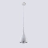 Pendant Light